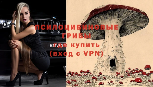 метадон Армянск