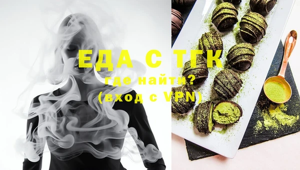 сатива Новозыбков