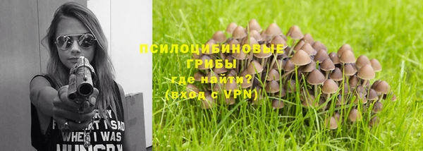 mdpv Новодвинск