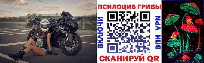 Псилоцибиновые грибы Psilocybine cubensis  купить   Прохладный 